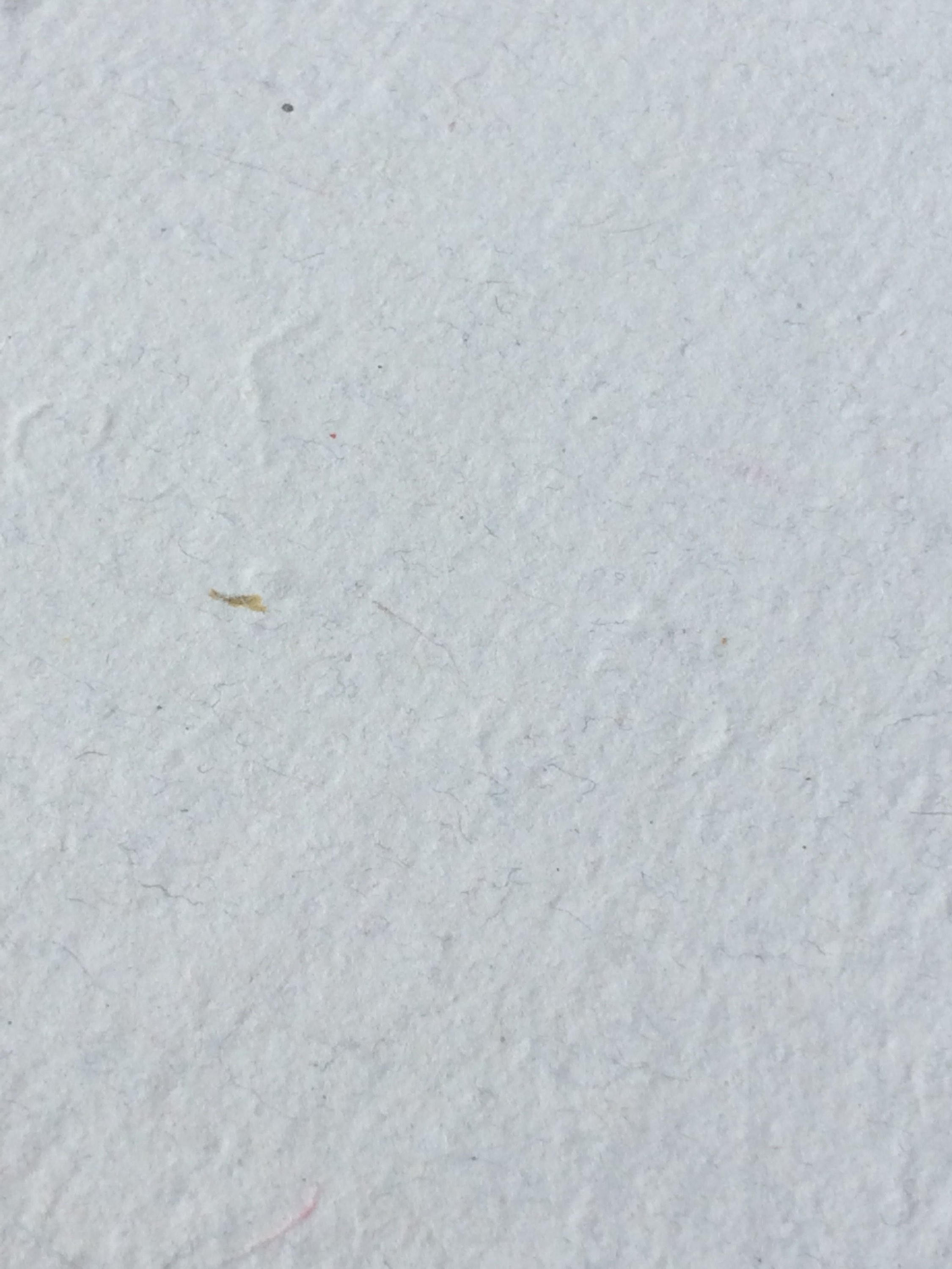 8.5x11 inch Purple Onion Books limited edition, handmade paper, recycled paper, textured paper