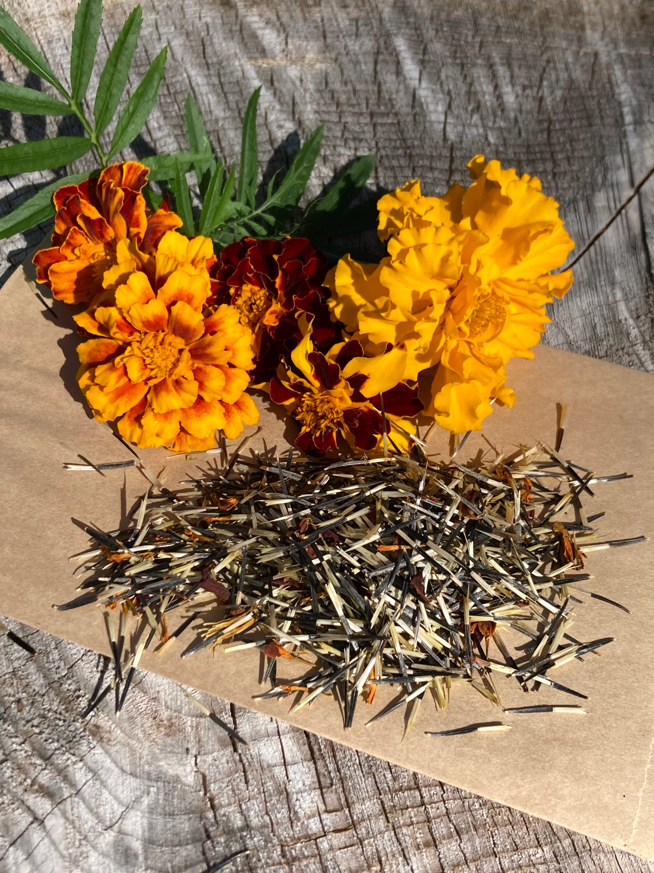 7grams mixed marigold seeds, seeds for papermaking, seed bombs, seeds