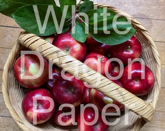 Digital file only, basket of apples, fall art, autumn photography, harvest