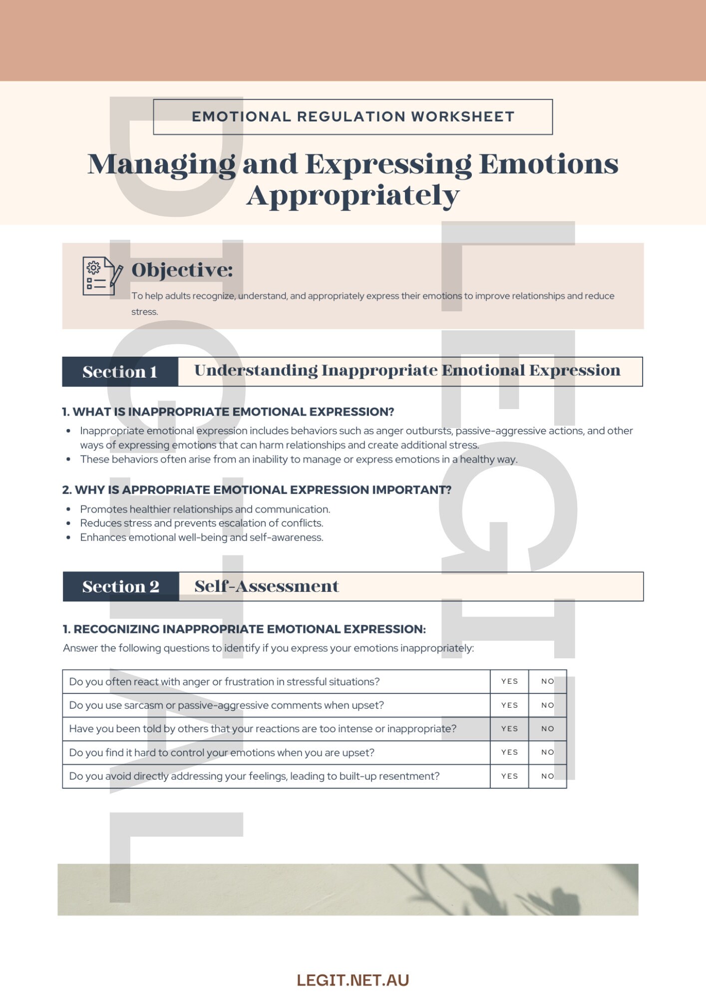 Emotional Regulation Workbook, Emotional Regulation for Adults ...