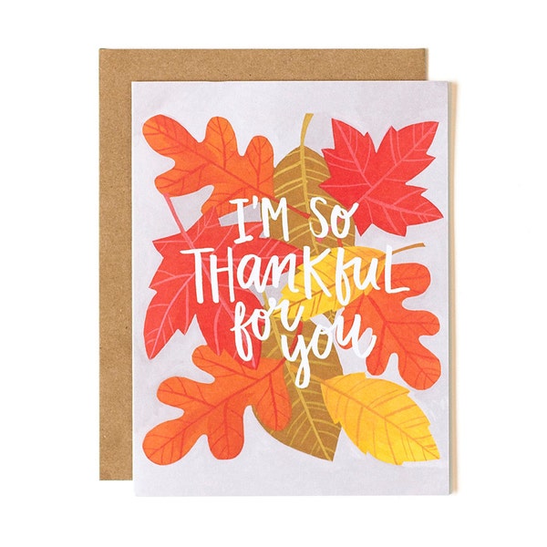 I'm So Thankful for You Illustrated Card - Boxed Set of 8 // 1canoe2