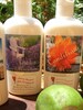 ALOE VERA CONDITIONER ~ Custom Scent As You Wish