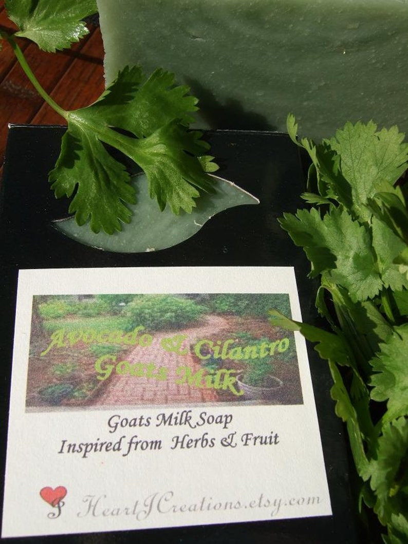 AVOCADO CILANTRO Goats Milk Soap Bar Etsy