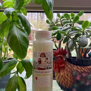 Milk & Honey Vita Shampoo ~ 8 oz