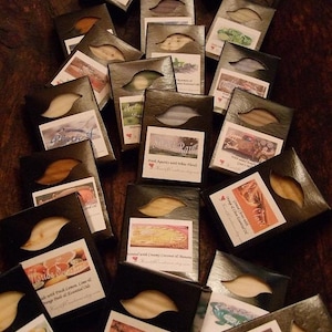 May include: Assortment of small, rectangular, black boxes with white labels. Each box contains a bar of handmade soap. The labels feature different scents and names, such as "Florida Sunshine", "Apple", "Change Clove", "Four Sisters", "Plath", "Bean", "Canella Walnut", and "Wild Apricot and White Rain".