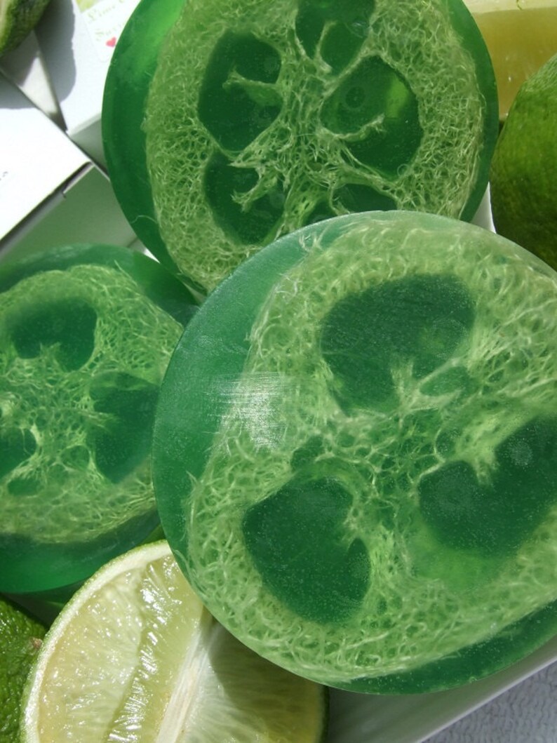 LUFFA LIME SLICE Lime Essential Oil Glycerin Soap Etsy