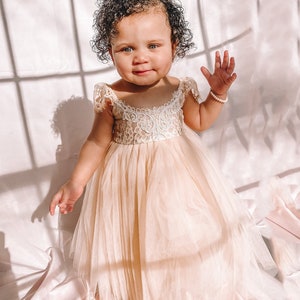 Baby Girl First Birthday Outfit Gold Champagne Flower Girl Dress 1st Birthday Smash The Cake Tulle Tutu Infant Photoshoot Baby Gown Newborn