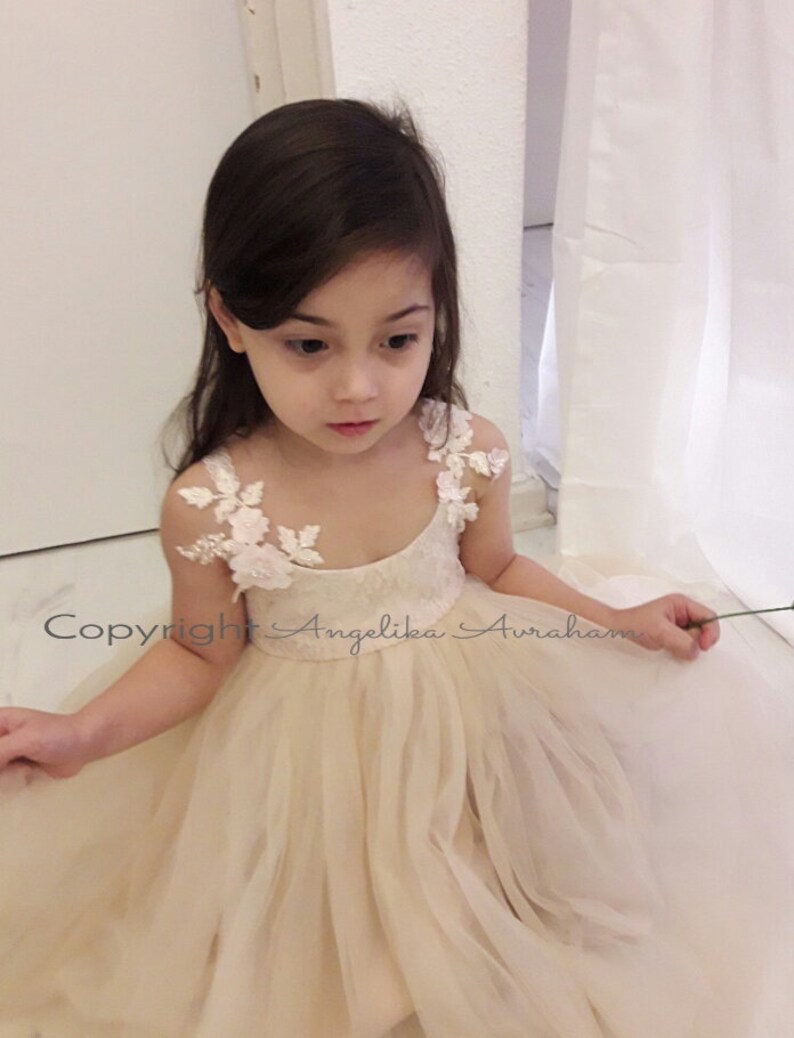 Ivory Over Blush Flower Girl Dress Beaded 1st Birthday Outfit Etsy