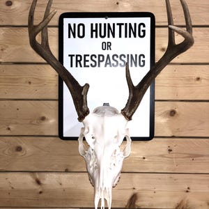 Custom Euro Mount Skull Plaque