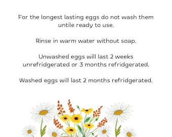 Printable Farm Fresh Eggs Care Guide - Digital Download