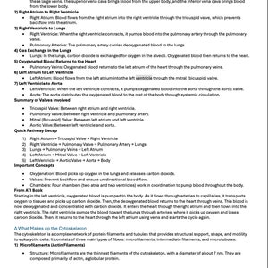 ATI TEAS 7 Study Guide Excluding MATH