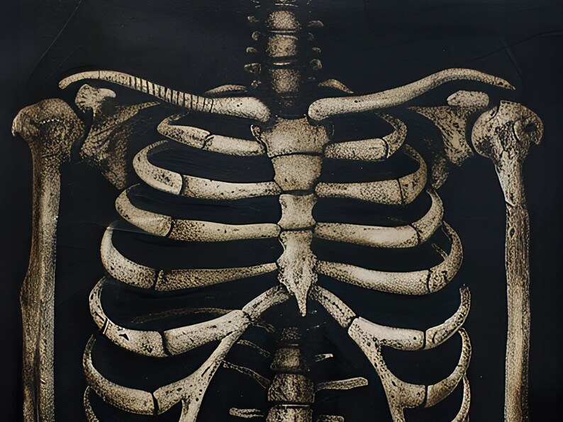 Macabre Art - Halloween Decor - Gothic Unframed Anatomy Print - Dark ...