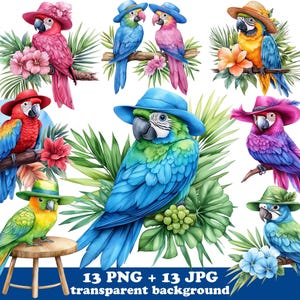 13 papegaai met tropische bloem PNG, vogelclipart voor shirts, kunst aan de muur, bekers, kaarten, zomerfeesten, digitaal knutselen, vakantie Zomerse sfeer