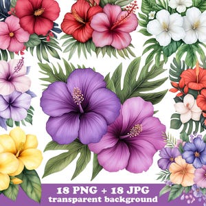 Pacchetto di 18 fiori tropicali in formato PNG. Arte digitale brillante per lavoretti estivi, sublimazione, decorazioni per feste, bicchieri, magliette e scrapbooking.