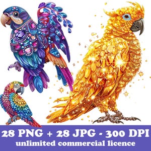28 pájaros de joyería de loro PNG, clipart de loro enjoyado, divertidos pájaros tropicales PNG, hermoso pájaro imprimible PNG, diseños de sublimación dtf para camisetas
