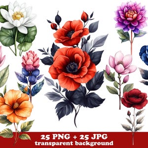 25 clipart PNG aquarelle fleurs sauvages, coquelicot rouge floral imprimable, clipart fleur botanique pour sublimation, autocollants, conception de chemise