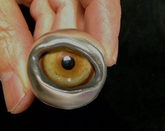 Wolf Werewolf eye ring custom made to any size by RXVrings modifications available with extra cost