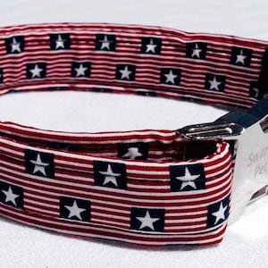 Old Glory - American Flag Dog Collar by Swanky Pet