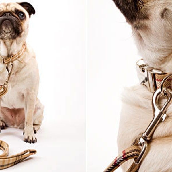 Matching Leashes by Swanky Pet