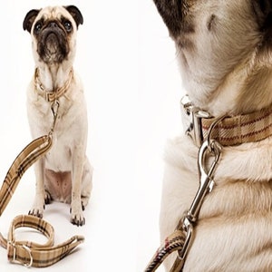 May include: A tan and brown plaid dog collar and leash set. The collar has a silver metal buckle and a matching leash with a silver metal clasp. A pug dog is wearing the collar and sitting on a white background.