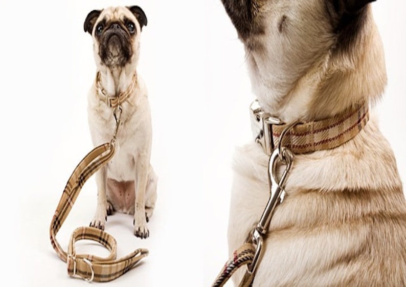 May include: A tan and brown plaid dog collar and leash set. The collar has a silver metal buckle and a matching leash with a silver metal clasp. A pug dog is wearing the collar and sitting on a white background.