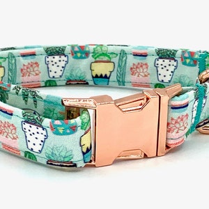 NEW: Cacti - Southwestern Dog Collar
