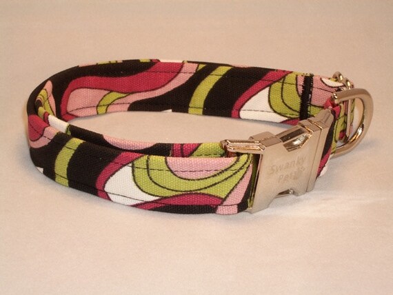 pucci dog collar