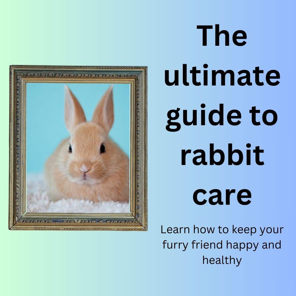Guide for Taking Care of Rabbits - Etsy