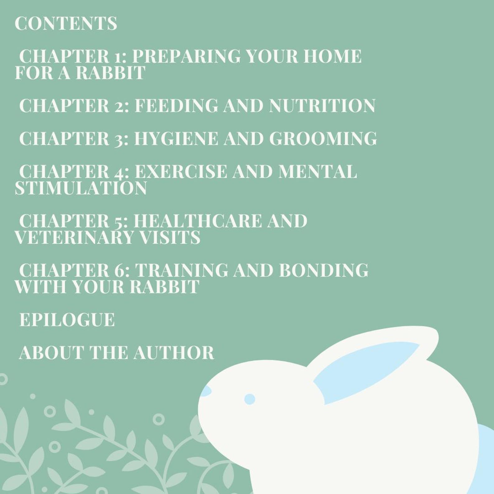 Guide for Taking Care of Rabbits - Etsy