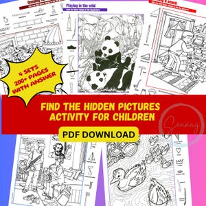 Find the Hidden Pictures Activity for Children PDF with Answers | Printable | Instant PDF Download