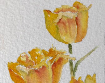 Original Watercolor Art Card of Daffodil Original Painting Floral Art Artist Trading Card Art Panting