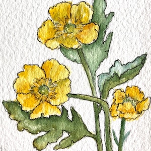 Buttercup Flowers Art Card Original Watercolor Artist Trading Cards Original Art Painting