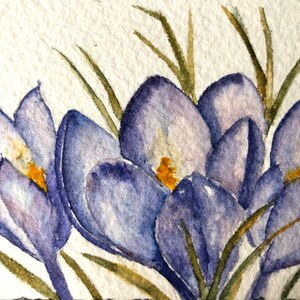 Aquarela original de açafrão roxo primavera flor cartão de arte pintura em aquarela artista cartão de negociação