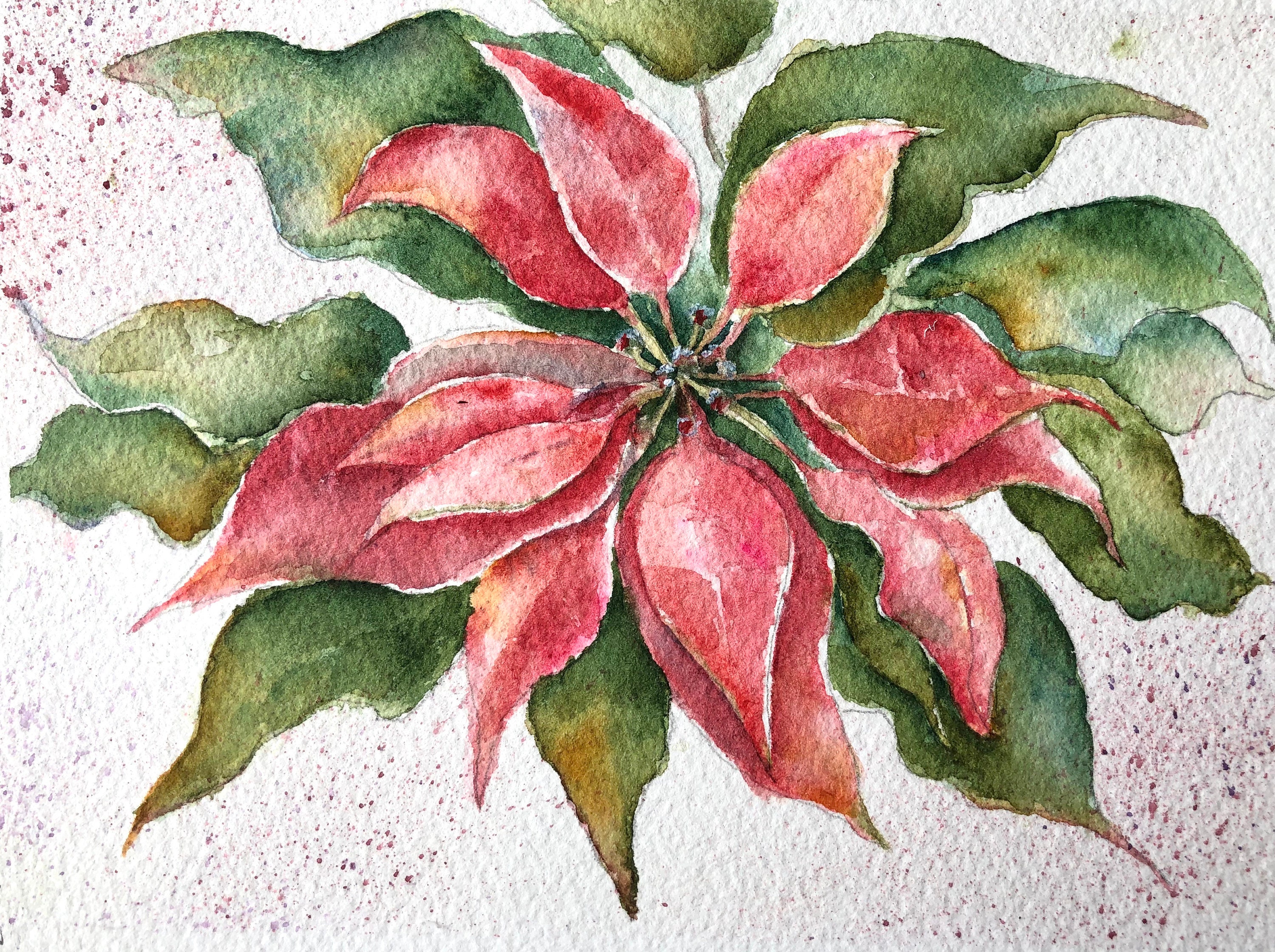 Poinsettia Watercolor Painting Original Art Watercolor Floral Art