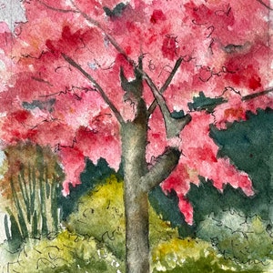 Cherry Blossoms Watercolor Painting Original Art OOAK Art Nature Paintings Original Art