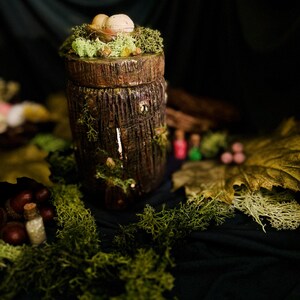 Puede incluir: Un recipiente de madera artesanal que se asemeja a un tocón de árbol, adornado con musgo y un pequeño nido con dos huevos. El recipiente está rodeado de vegetación y se encuentra sobre una superficie oscura, creando una estética caprichosa y natural.