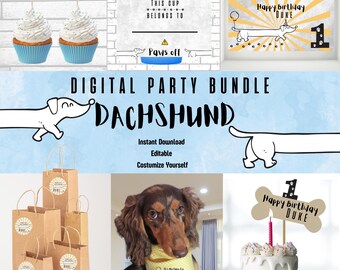 Wiener Dog Birthday Party Set - Editable Digital Download | Dachshund Party Decorations | Video Invitation, Banners, Stickers & More (BOY)