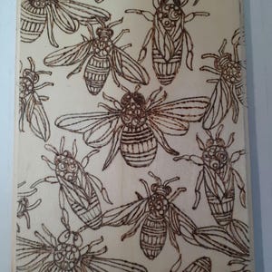 Hand Drawn Woodburning/Pyrography - Insects