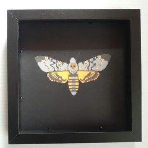 May include: A framed black and white paper cut-out of a death's-head hawkmoth with a skull design on its body. The moth is framed in a black frame with a black background.