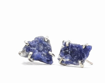 Sodalite Earrings