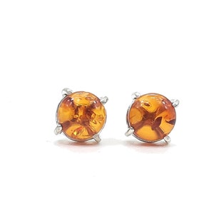 Amber Earrings