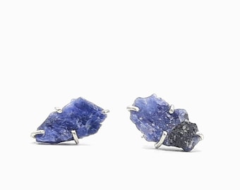 Sodalite Earrings