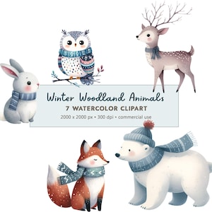 7 Winter Woodland Animals Clipart Bundle PNG Digital Download | Winter Woodland Animals Illustrations | Commercial Use