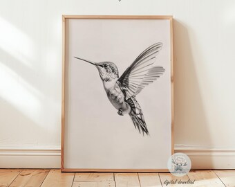 Hummingbird Pencil Art Print: Vintage Bird Neutral Minimalist Bird Sketch Poster (Digital Download)