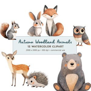 Lot de 12 cliparts animaux de la forêt automne téléchargement numérique PNG | Clipart animaux de la forêt automne hiver | Utilisation commerciale