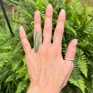May include: A silver ring with an elongated, oval-shaped green stone. A second silver band ring is also visible. The hand is open, with a backdrop of green ferns.