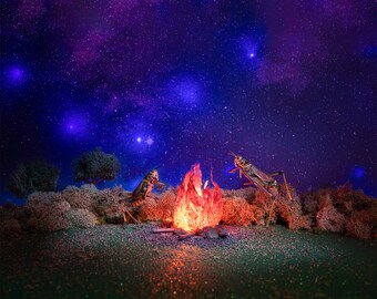Fire dance locust, grasshopper print