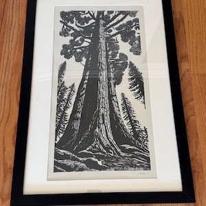 FRAMED A Redwood Forest Giant, Linocut Tree Print