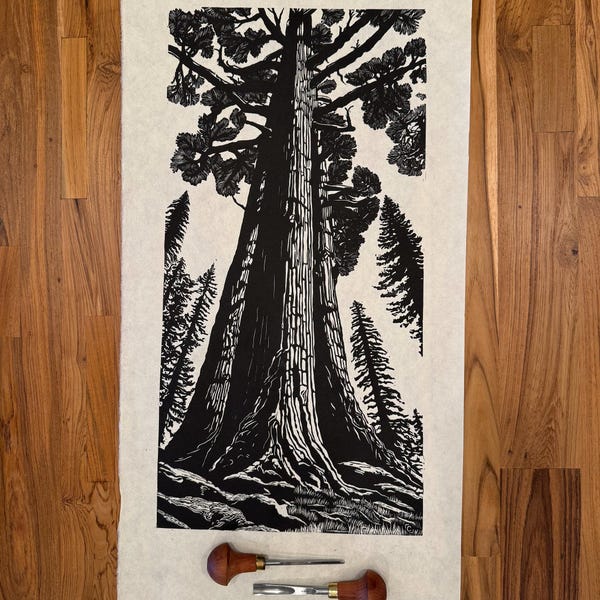 A Redwood Forest Giant, Linocut Tree Print
