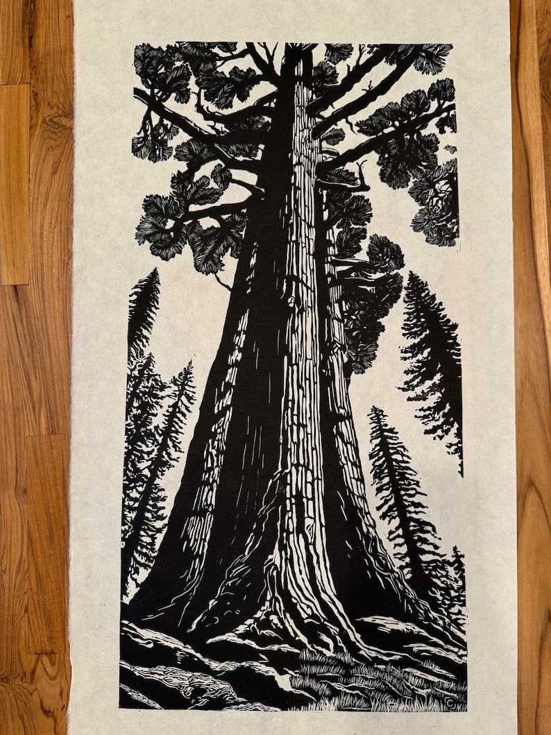 A Redwood Forest Giant, Linocut Tree Print image 5